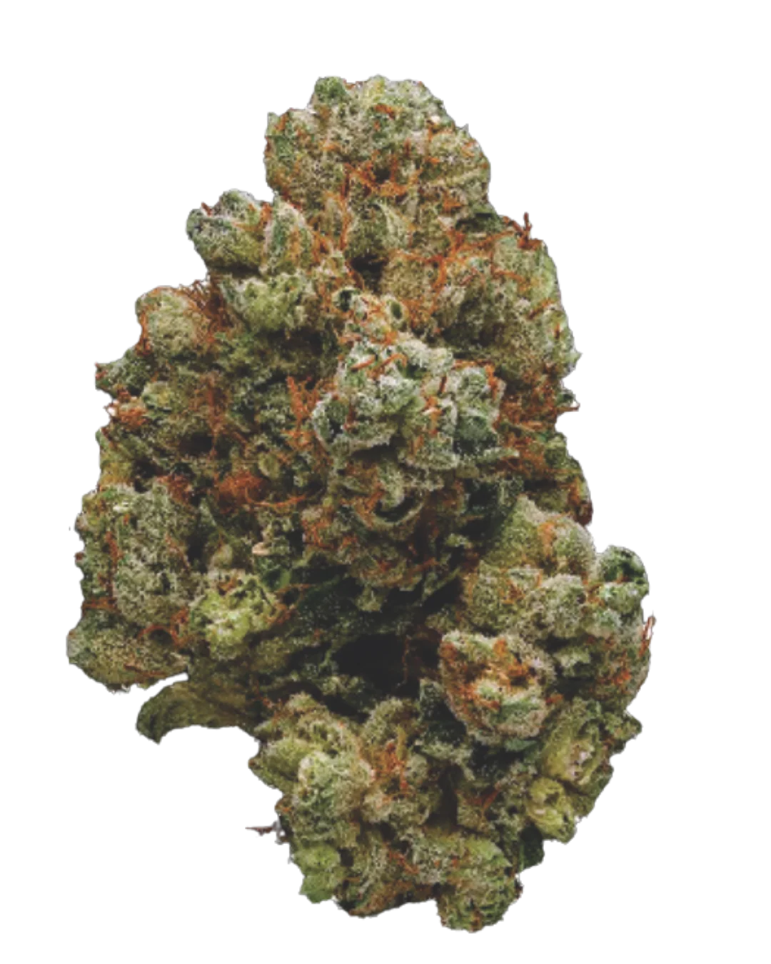Banana Sherbet S1