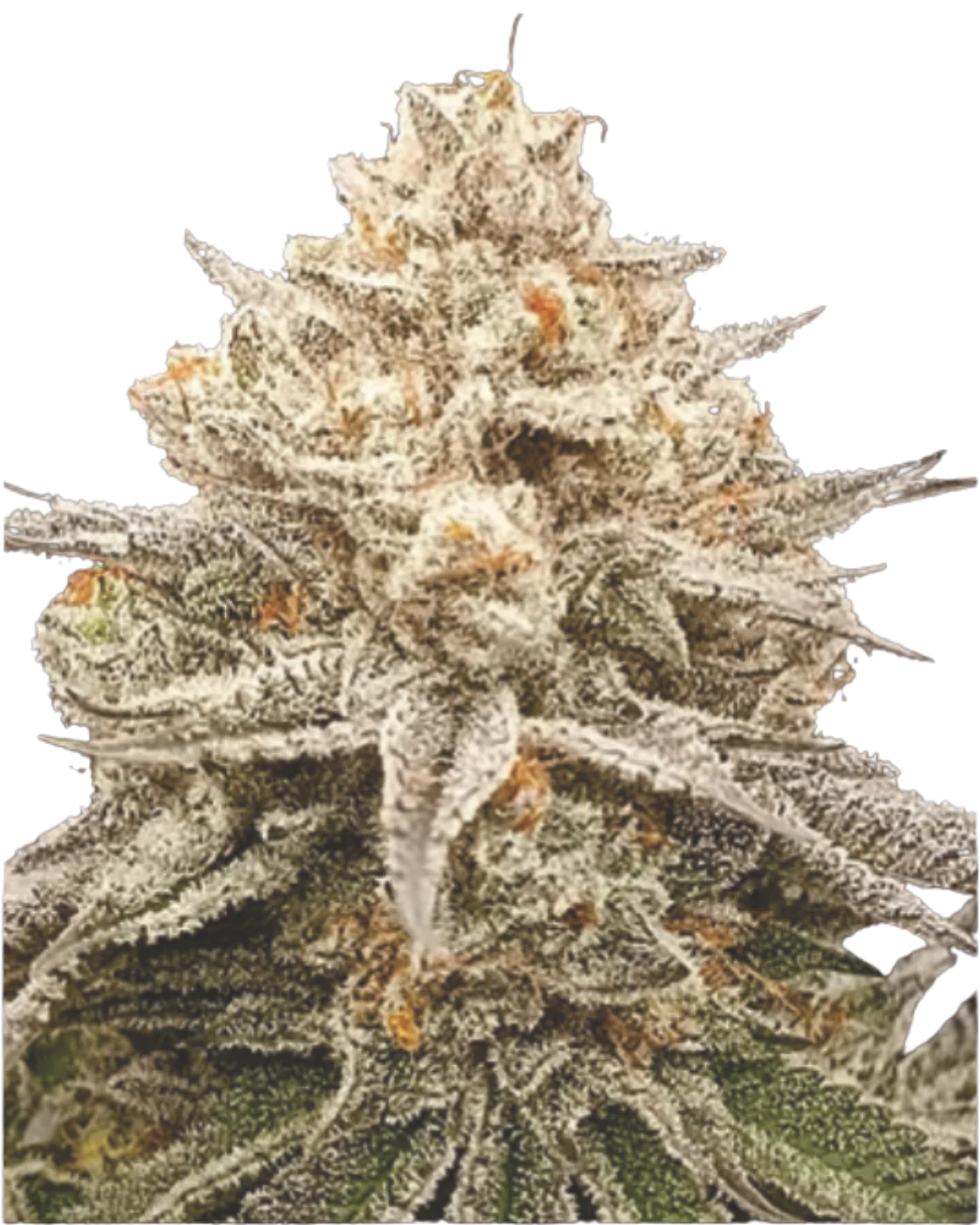 Hulk Cake F2