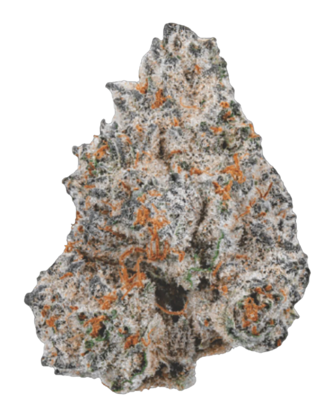 Fruit Salad F1